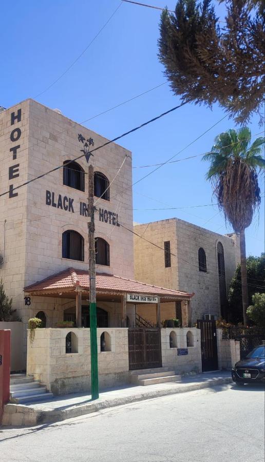 מאדאבה Black Iris Hotel מראה חיצוני תמונה