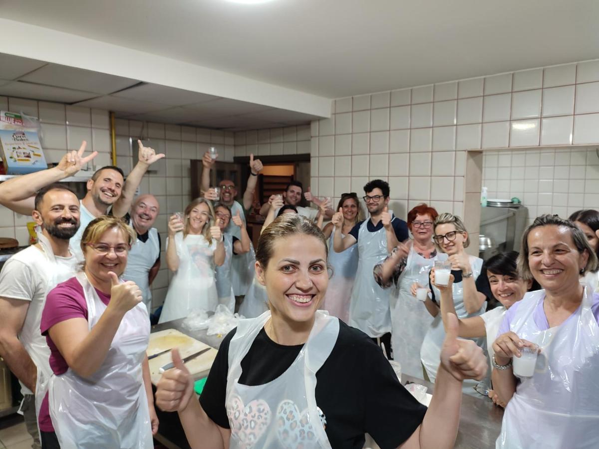 מאדאבה Black Iris Hotel מראה חיצוני תמונה